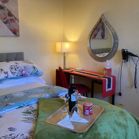 Mountroyal Victorian Studio Self Catering Apartment 3 Белфаст Екстер'єр фото