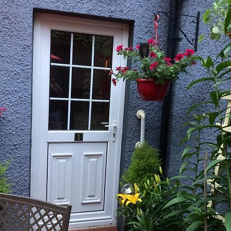 Mountroyal Victorian Studio Self Catering Apartment 3 Белфаст Екстер'єр фото