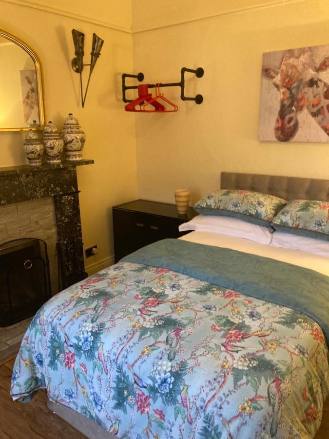 Mountroyal Victorian Studio Self Catering Apartment 3 Белфаст Екстер'єр фото