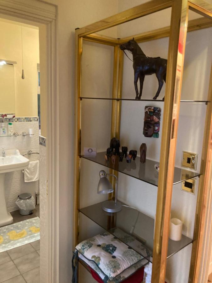 Mountroyal Victorian Studio Self Catering Apartment 3 Белфаст Екстер'єр фото