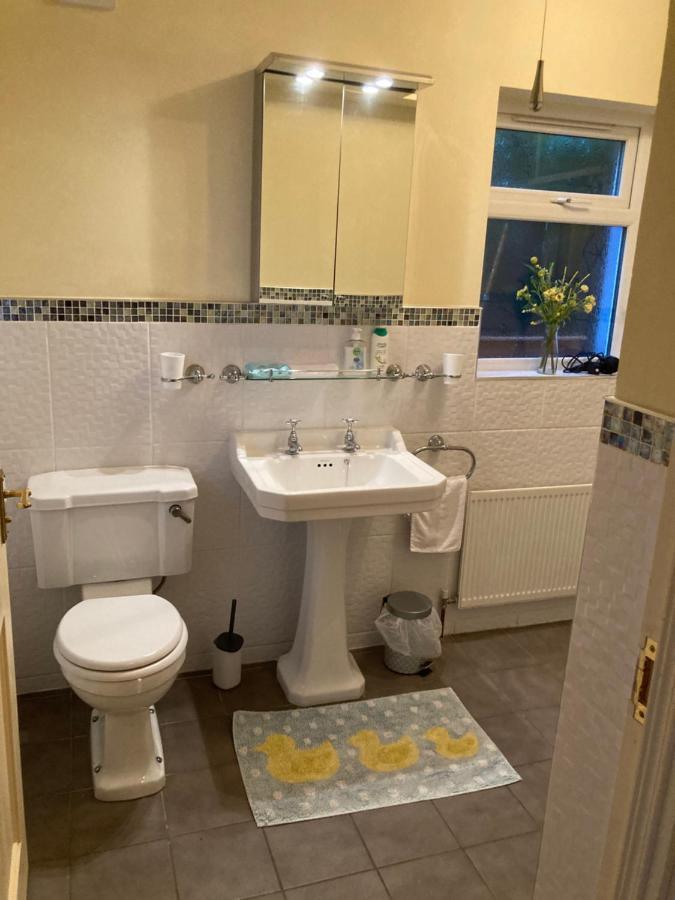Mountroyal Victorian Studio Self Catering Apartment 3 Белфаст Екстер'єр фото