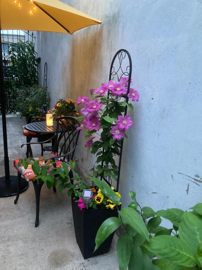 Mountroyal Victorian Studio Self Catering Apartment 3 Белфаст Екстер'єр фото