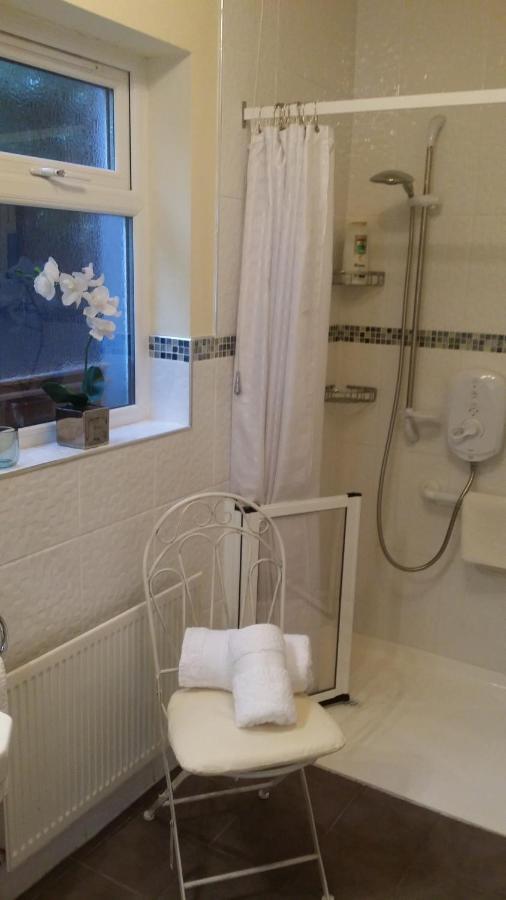Mountroyal Victorian Studio Self Catering Apartment 3 Белфаст Екстер'єр фото